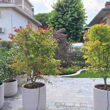 La Corte Di Giovanna