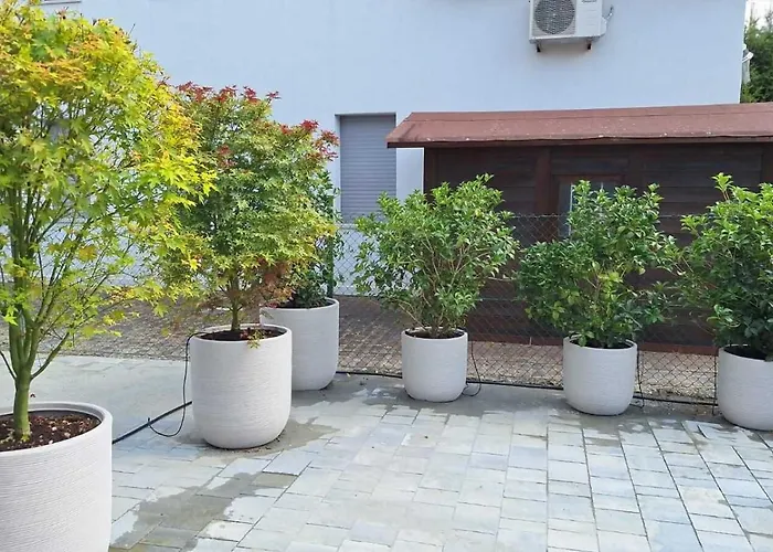 بيت للعطل La Corte Di Giovanna *